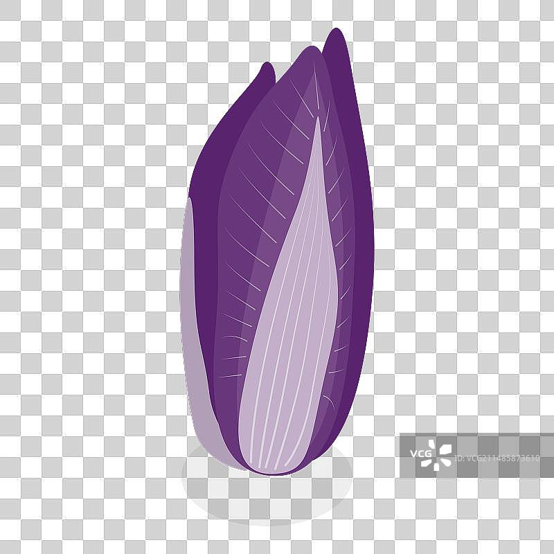 2.5D等距混合沙拉蔬菜元素图片素材