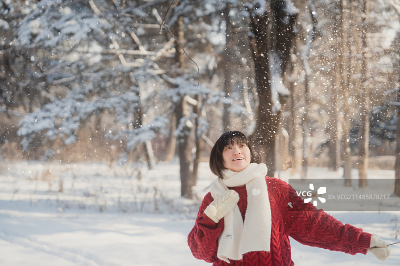 2023 冬天的故事图片素材