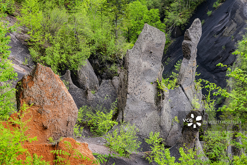 长白山初夏大峡谷石林图片素材