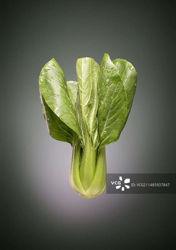 一颗青菜图片素材