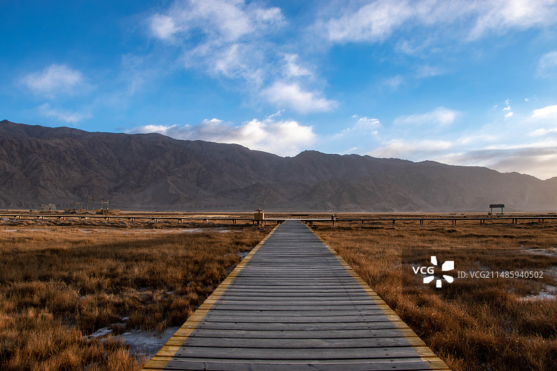 金草滩图片素材