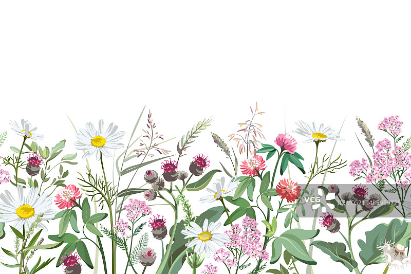 手绘花草彩色草图图片素材