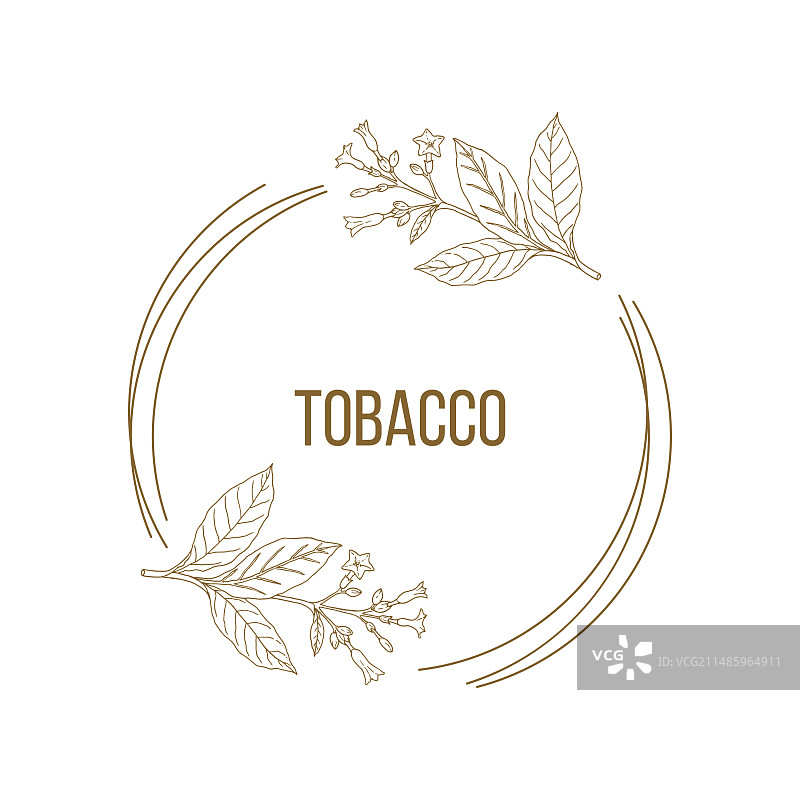 手绘烟草花卉标志模板图片素材