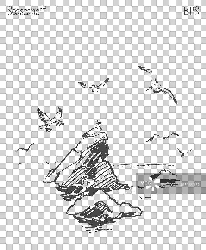 岩石与飞行草图海景图片素材