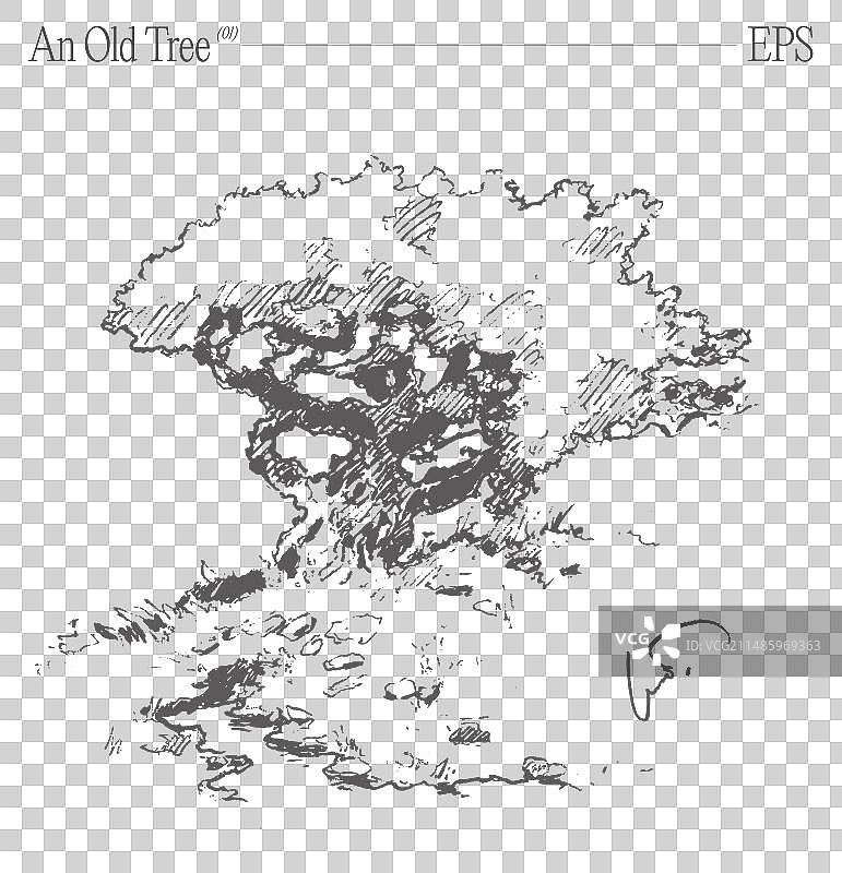 空白画布上的古树素描图片素材