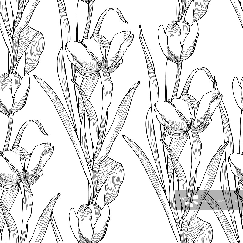 手绘郁金香自然无缝图案图片素材