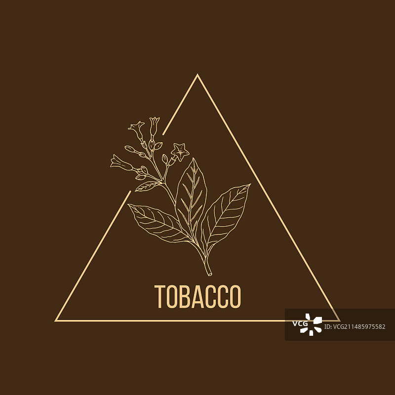 手绘烟草花卉标志模板图片素材