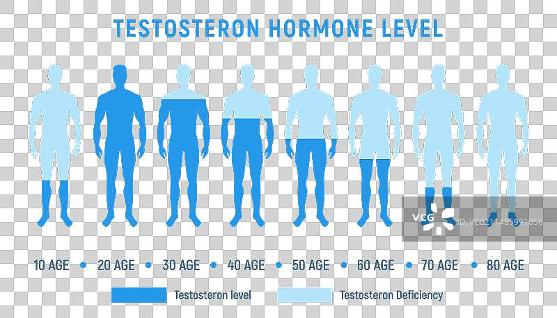 睾酮水平疗法男性荷尔蒙平衡图片素材