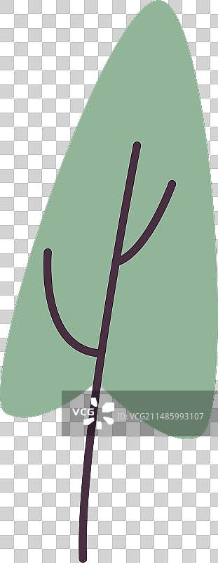 酢浆草微型蔬菜苗图片素材