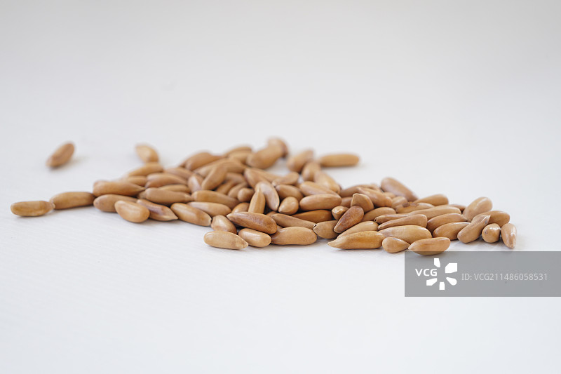 巴西松子图片素材