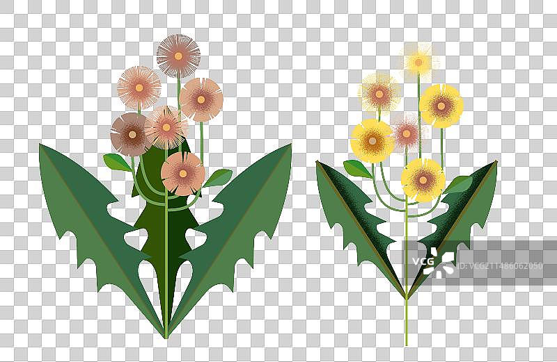 扁平抽象蒲公英矢量插画免抠元素图片素材