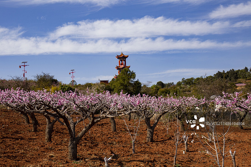 禄丰土官镇乌龙潭桃花源图片素材