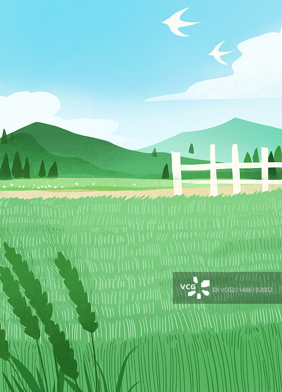 小满风景节气无人图片素材