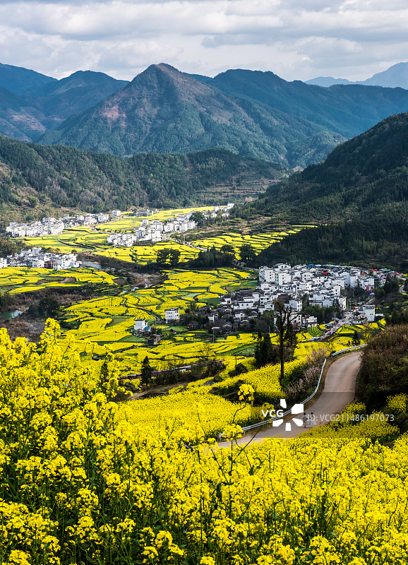 婺源·江岭图片素材