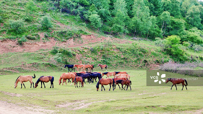 甘肃天水清水县秦文化发源地非子牧场图片素材