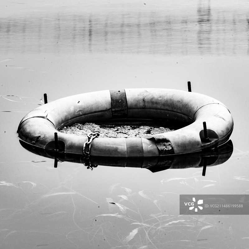 框住的生命图片素材