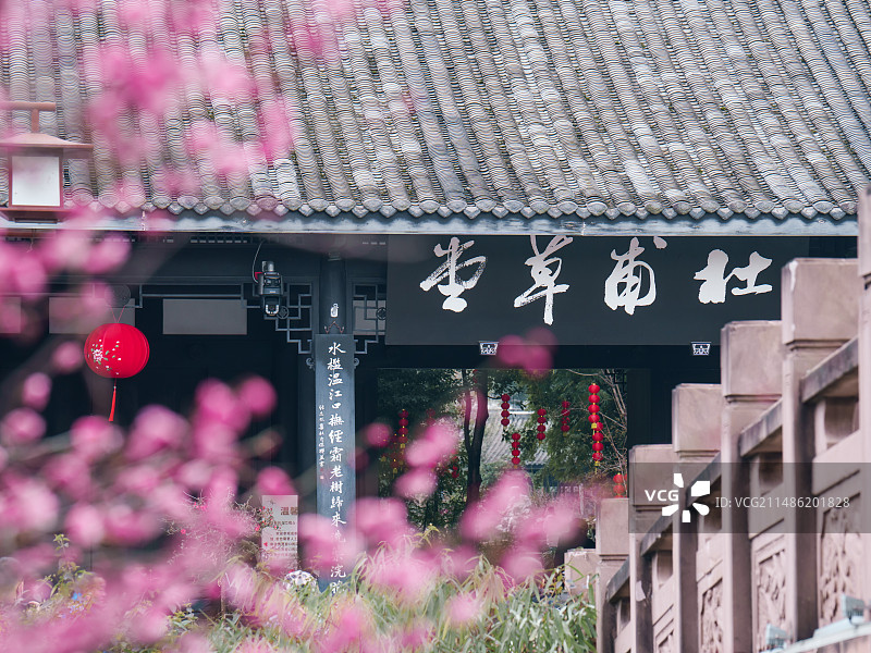 春季成都杜甫草堂梅花图片素材