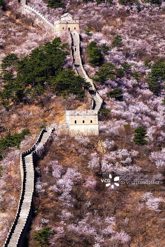 黄花城水长城桃花图片素材
