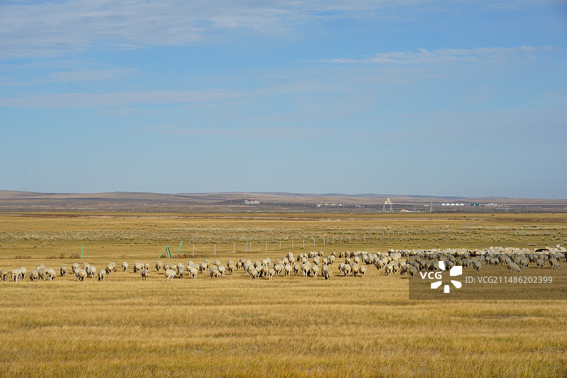 秋季呼伦贝尔草原图片素材