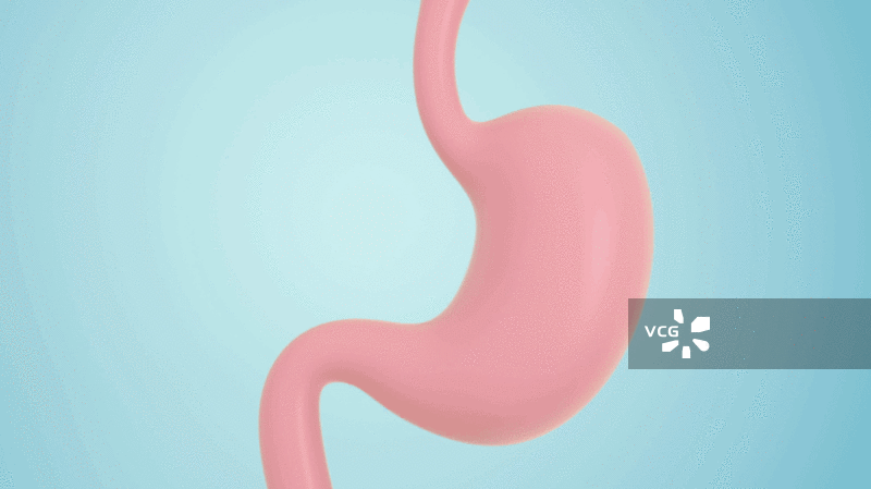 循环蠕动的胃3D渲染图片素材