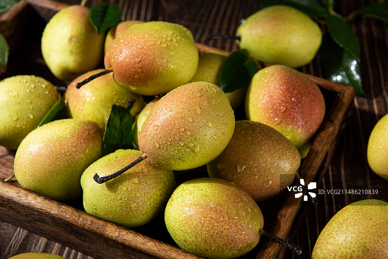 新疆库尔勒香梨特写图片素材