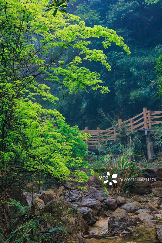 广东佛山南海湾森林生态园-山涧流水图片素材