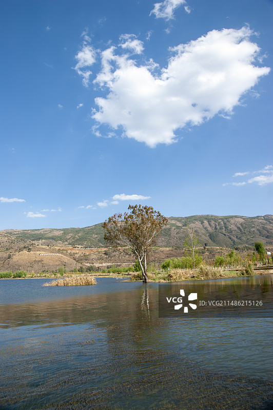 云南.阳宗海图片素材