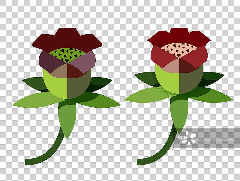 扁平抽象羊乳植物花卉矢量插画图片素材