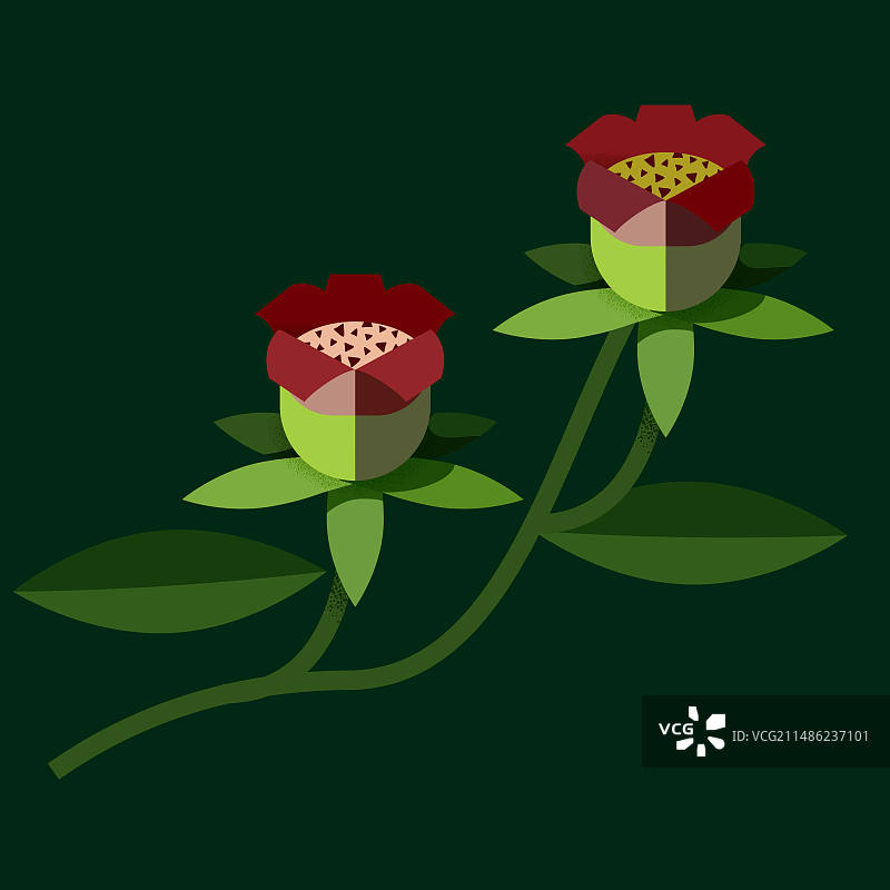 扁平抽象羊乳植物花卉矢量插画图片素材