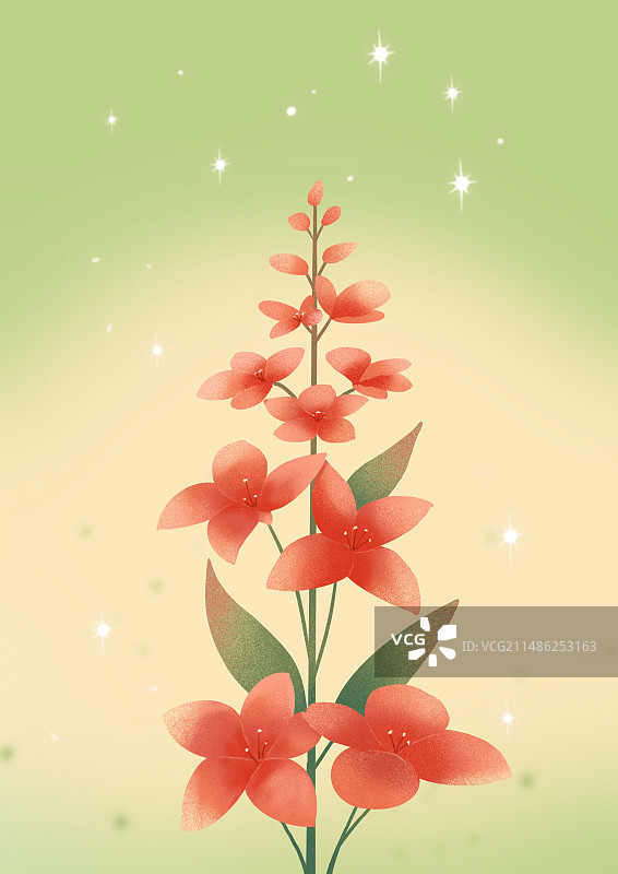 凤仙花植物肌理插画清新壁纸浙变弥散风图片素材