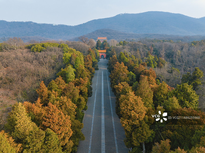 明孝陵神道-拍摄于南京梅花山图片素材