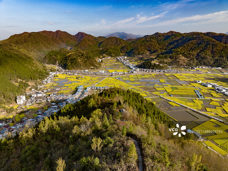 航拍汉中春天油菜花海自然风光图片素材