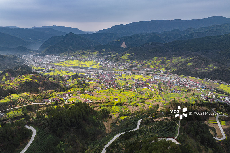 航中春天油菜花海自然风光图片素材