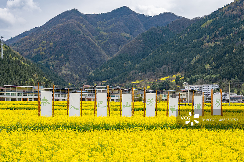航中春天油菜花海自然风光图片素材