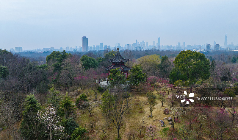 南京梅花谷公园惟秀亭图片素材