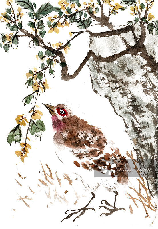 岩石与小鸟图片素材