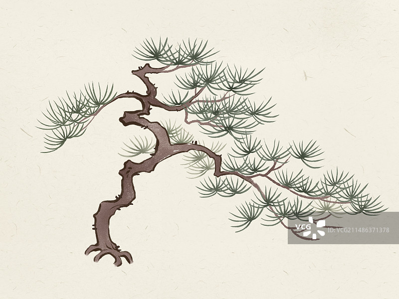 青松一棵图片素材