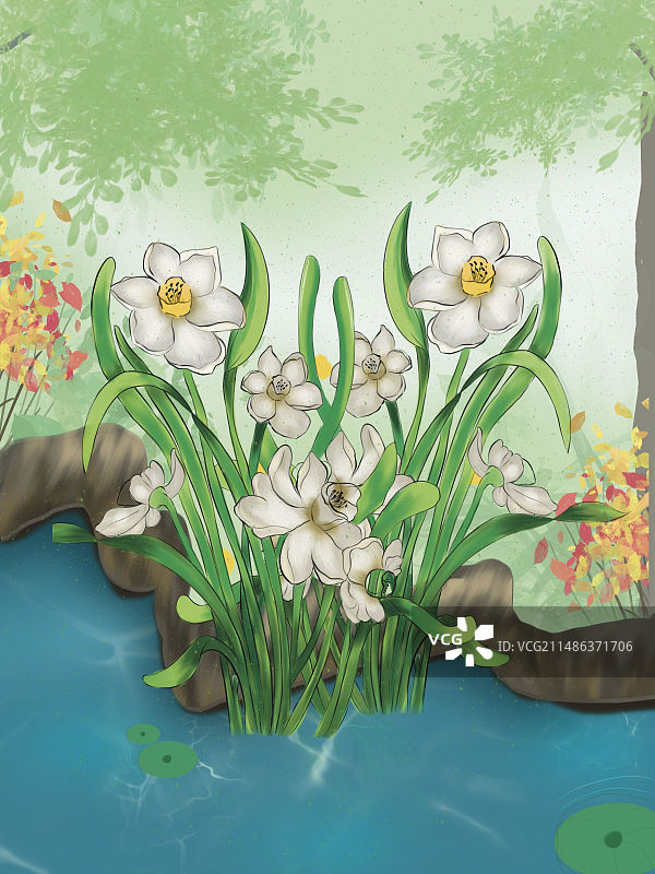水仙花图片素材