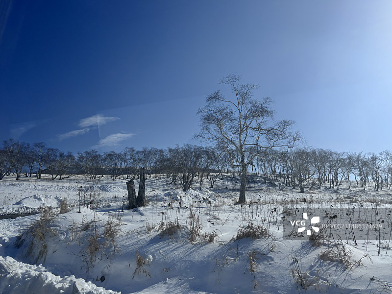 随手拍图片素材