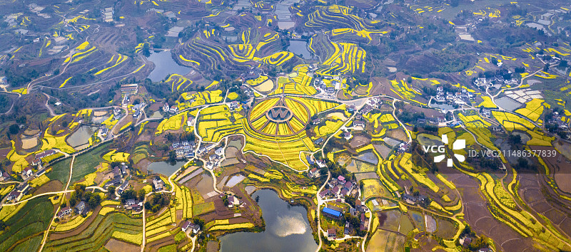 多彩的大地——宜宾市南溪区仙临镇五粮液粮油基地之春图片素材