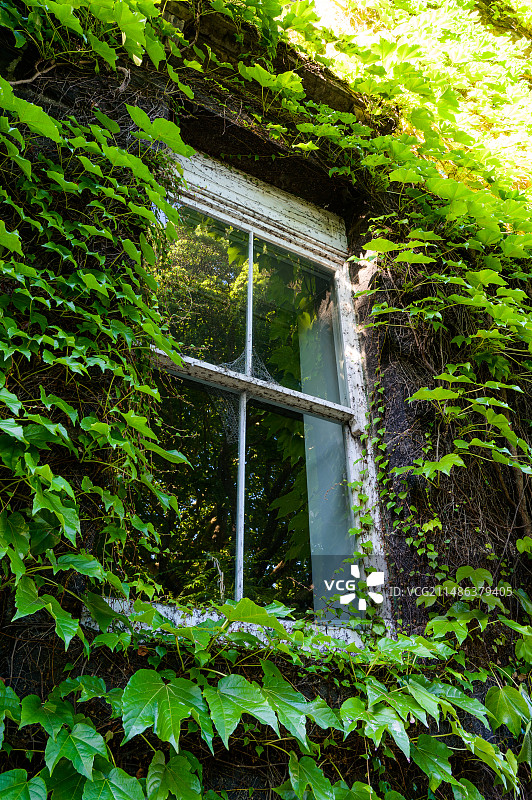 奥克兰city图片素材