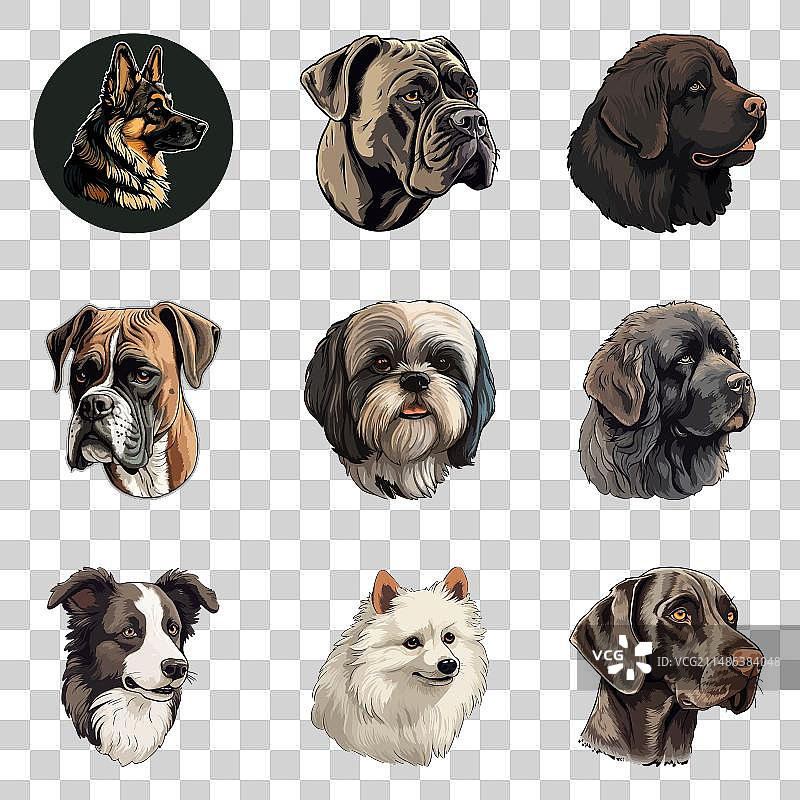 白色背景上的狗扁平图标集图片素材