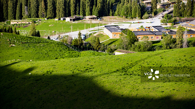 新疆伊犁琼库什台 草原 河流 森林 牛羊 马图片素材
