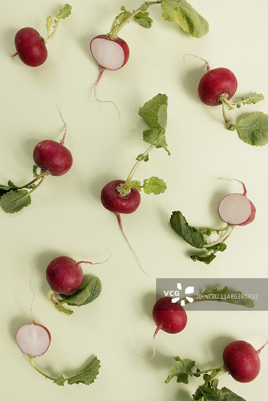 浅绿色背景上的红色小萝卜排列图片素材