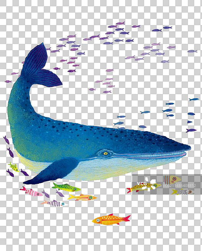 PNG免扣图形元素 海里游泳的鲸鱼和一群鱼图片素材