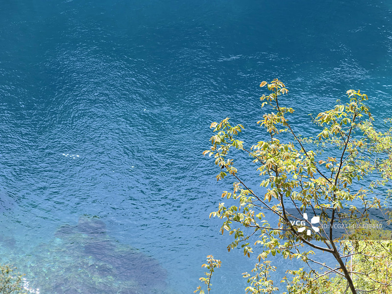 四川九寨沟景区内的树正群海图片素材