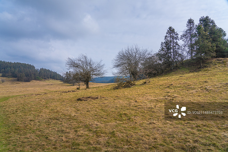 仙女山，重庆，大草原景区，网红景点图片素材