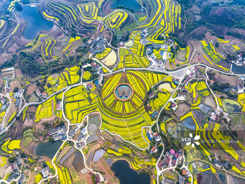 春回大地2-四川省 宜宾市 南溪区 仙临镇 五粮液粮油基地图片素材