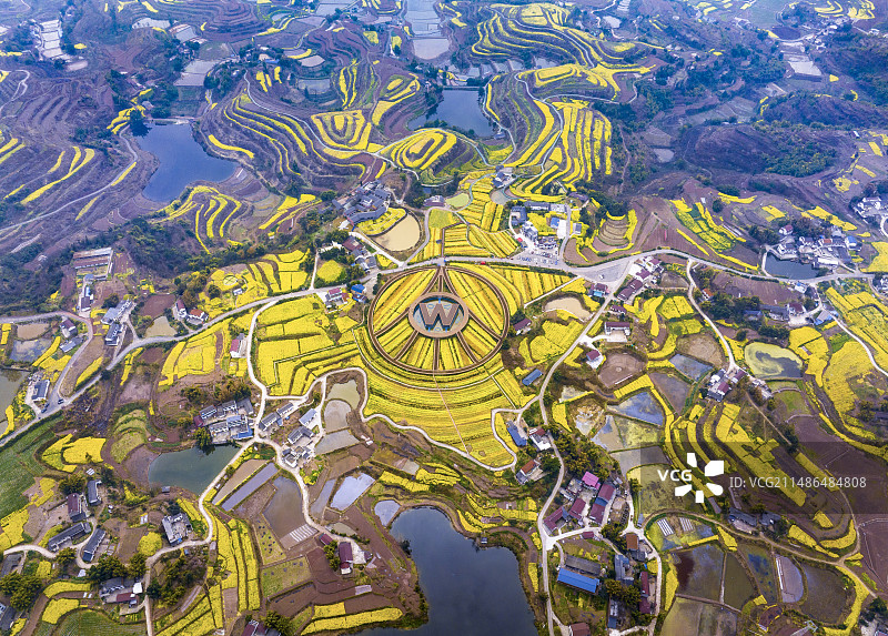 春回大地3-四川省 宜宾市 南溪区 仙临镇 五粮液粮油基地图片素材