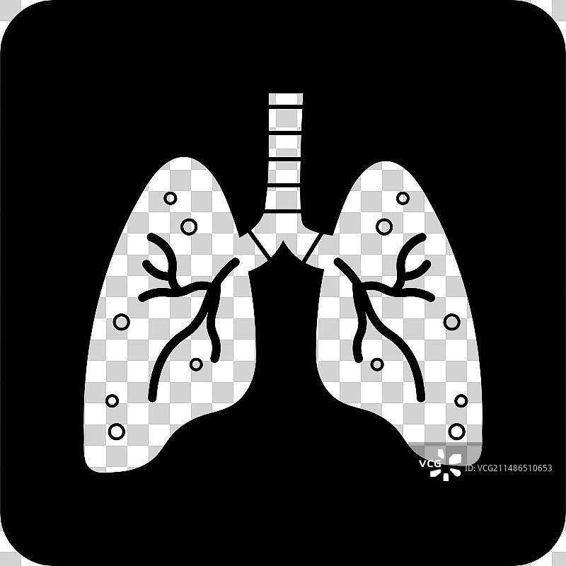 呼吸系统图片素材